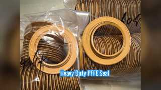 PTFE তেল সীল ভারী যন্ত্রপাতি হাইড্রোলিক সিলিন্ডার sealing