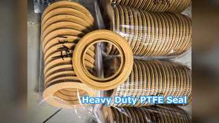 হেভি ডিউটি ​​PTFE তেল সীল
